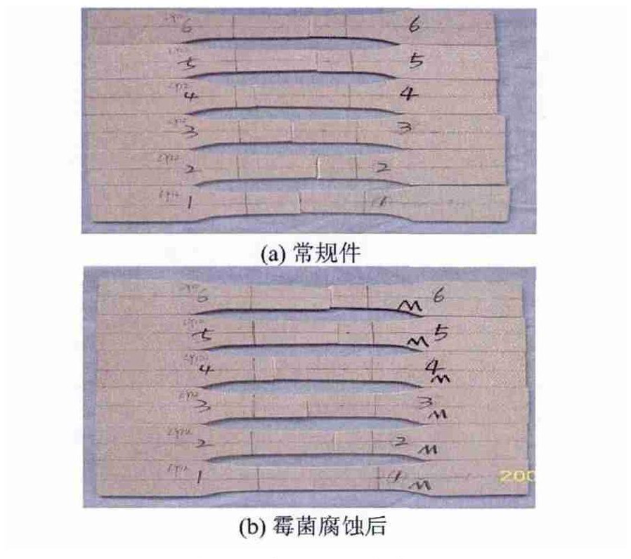 低空载人飞行器霉菌实验箱对飞行汽车样品的试验研究(图4)