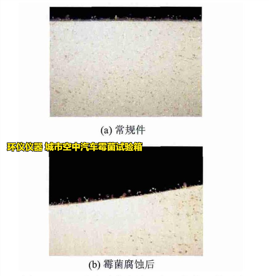城市空中汽车霉菌试验箱的试验方法(图3)