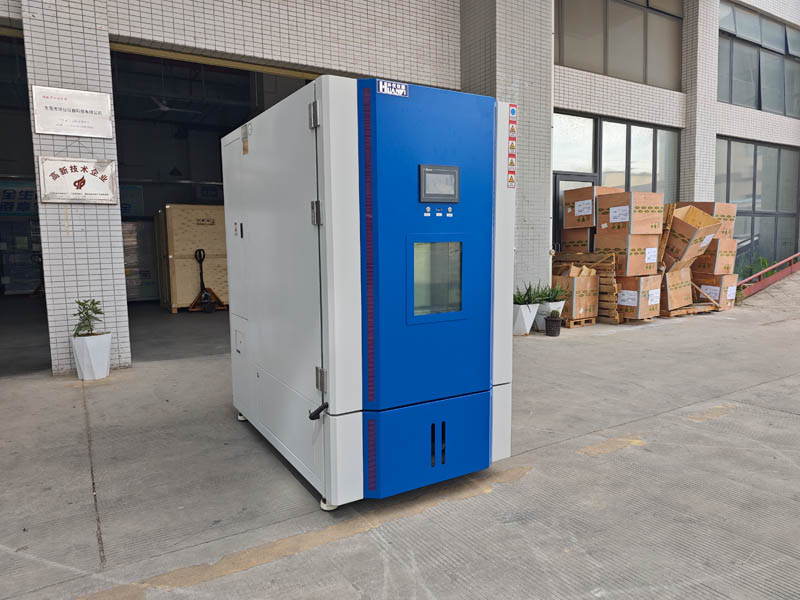 IMG_20251110_122247.jpg IMG_20251110_122247.jpg