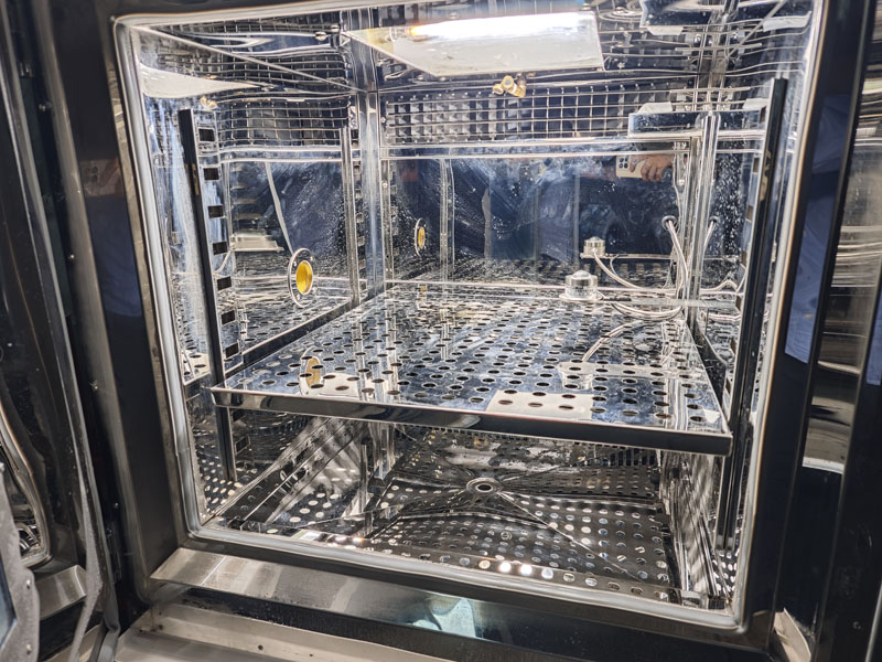 IMG_20250328_142456.jpg IMG_20250328_142456.jpg